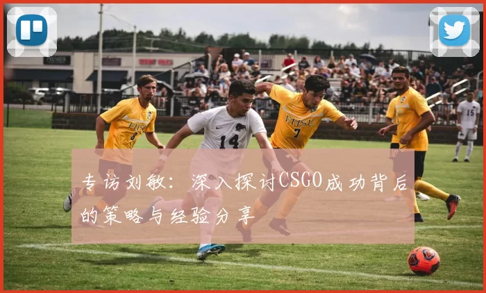 专访刘敏：深入探讨CSGO成功背后的策略与经验分享