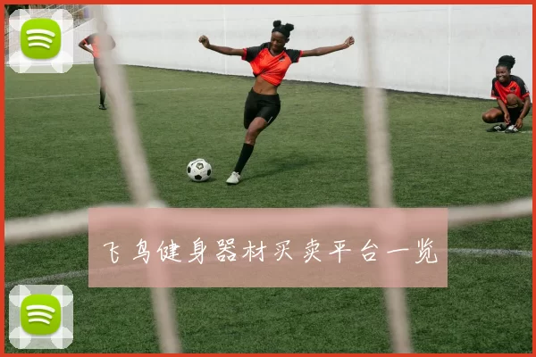 飞鸟健身器材买卖平台一览