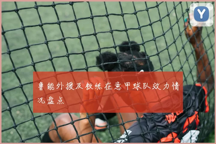 鲁能外援及教练在意甲球队效力情况盘点
