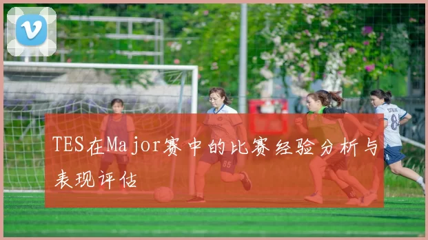TES在Major赛中的比赛经验分析与表现评估
