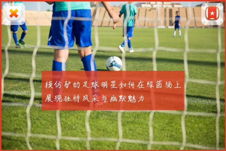 模仿驴的足球明星如何在绿茵场上展现独特风采与幽默魅力