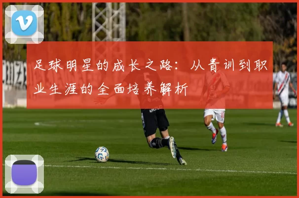 足球明星的成长之路：从青训到职业生涯的全面培养解析