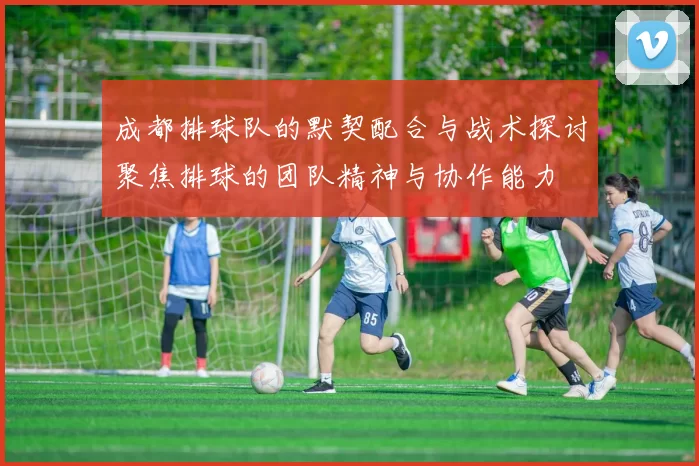 成都排球队的默契配合与战术探讨聚焦排球的团队精神与协作能力