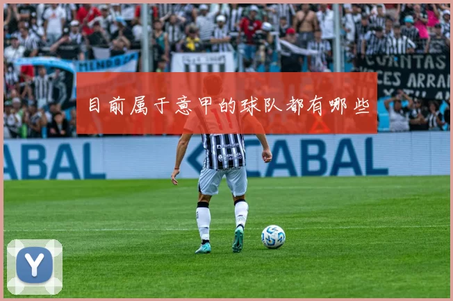 目前属于意甲的球队都有哪些