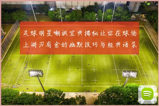 足球明星嘲讽宝典揭秘让你在球场上游刃有余的幽默技巧与经典语录