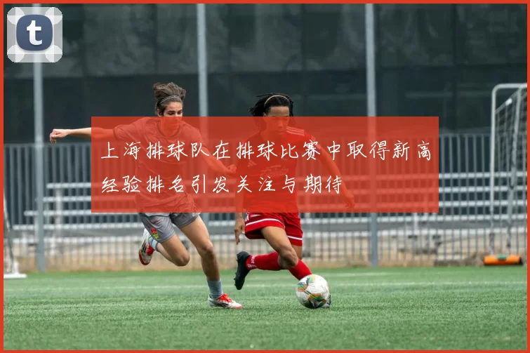 上海排球队在排球比赛中取得新高经验排名引发关注与期待
