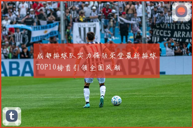 成都排球队实力强劲荣登最新排球TOP10榜首引领全国风潮