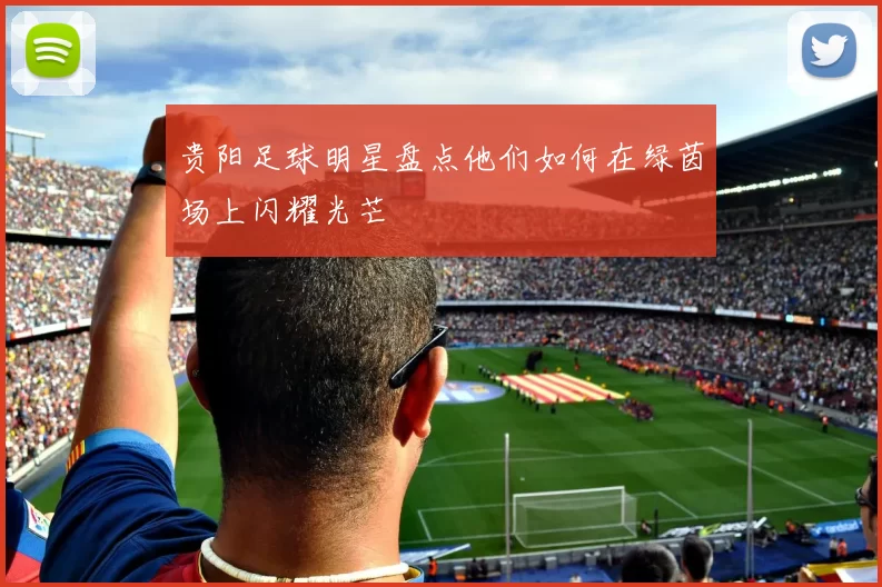 贵阳足球明星盘点他们如何在绿茵场上闪耀光芒