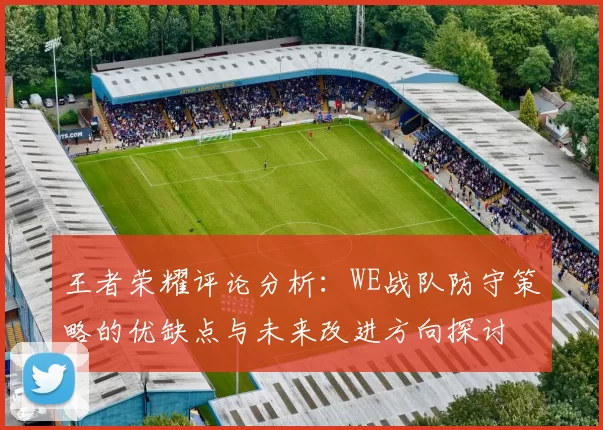 王者荣耀评论分析：WE战队防守策略的优缺点与未来改进方向探讨
