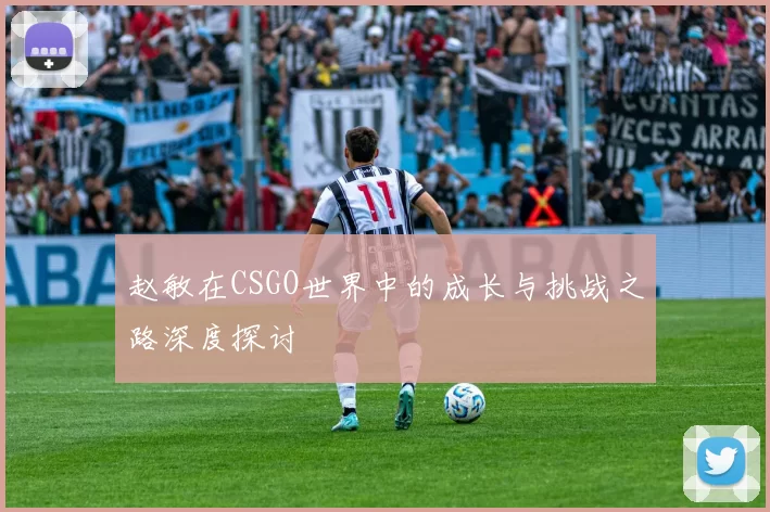赵敏在CSGO世界中的成长与挑战之路深度探讨