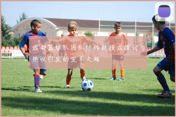 成都篮球队团队协作新模式探讨与热议引发的变革之路