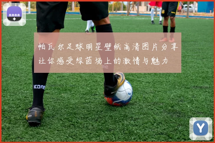 帕瓦尔足球明星壁纸高清图片分享让你感受绿茵场上的激情与魅力