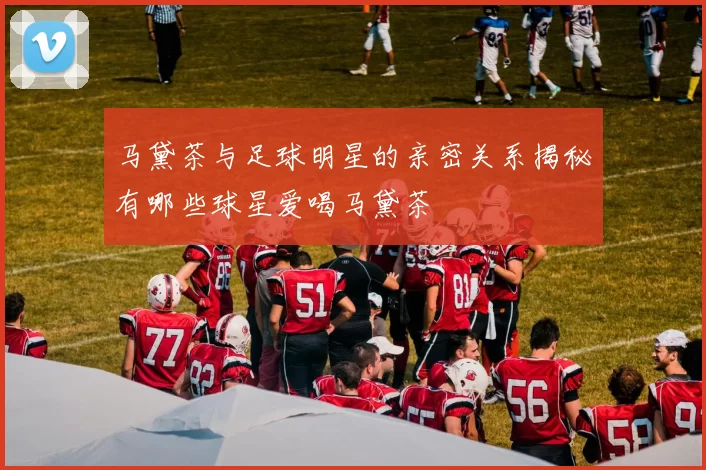 马黛茶与足球明星的亲密关系揭秘有哪些球星爱喝马黛茶