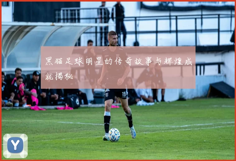 黑猫足球明星的传奇故事与辉煌成就揭秘