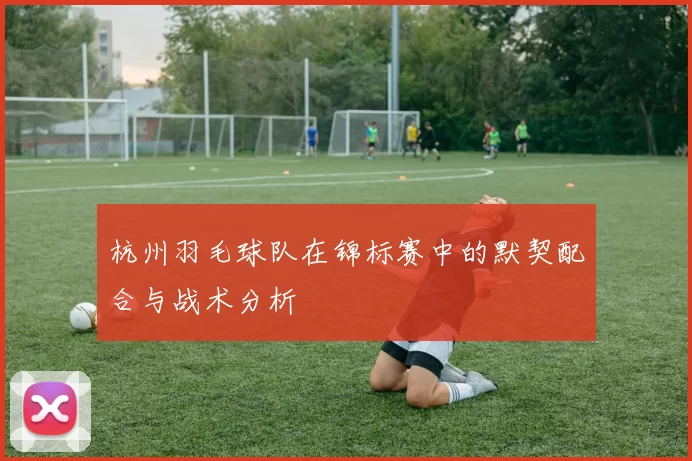 杭州羽毛球队在锦标赛中的默契配合与战术分析