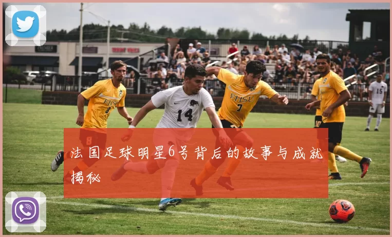 法国足球明星6号背后的故事与成就揭秘